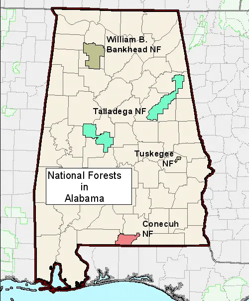 Map: Alabama National Forest Map