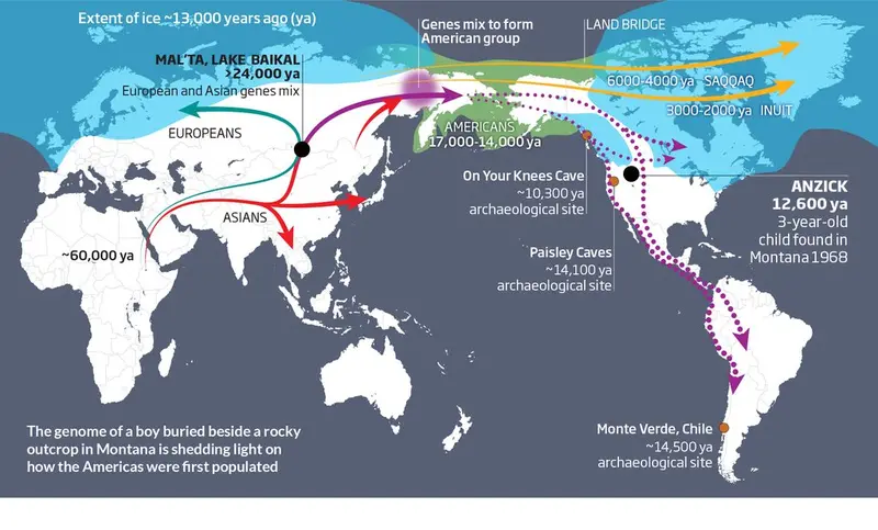 Map: Ancestry of first Americans revealed by the genome of a boy buried in Montana. New Scientist – 12 February 2014