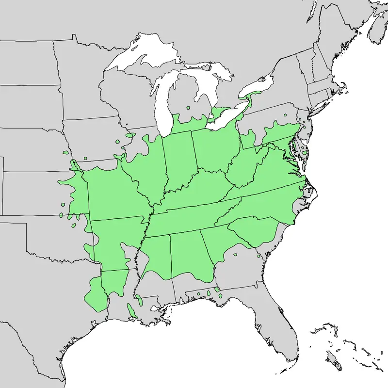 Map: Asimina Triloba Range Map 1