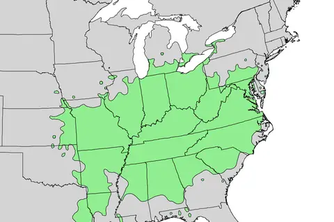 Map: Asimina Triloba Range Map 1