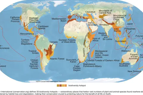 Map: Biodiversity Hotspots Map