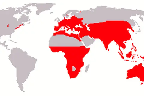 Map: Black Rat Range Map