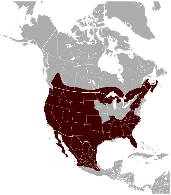 Map: Bobcat Lynx Rufus Distribution Map