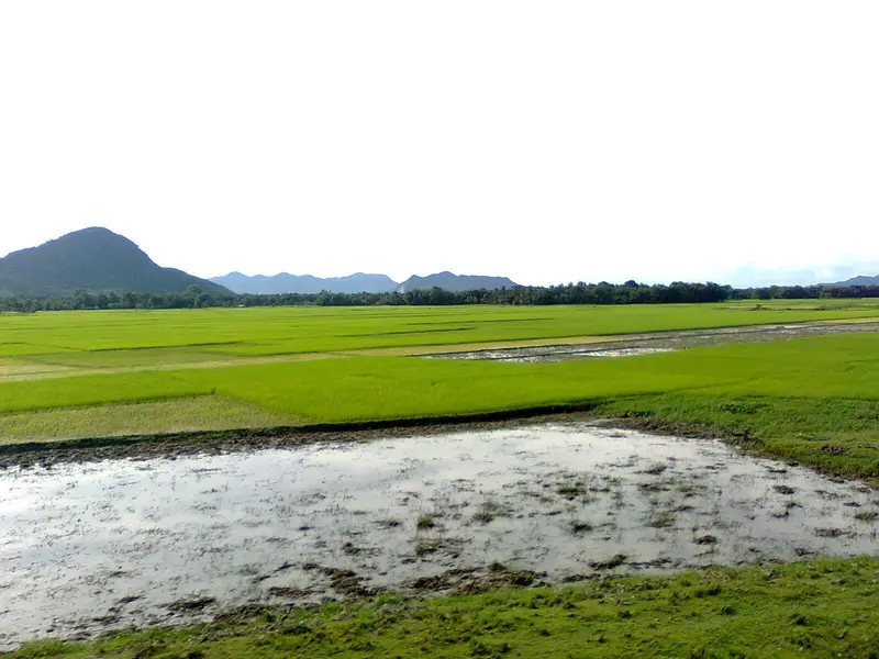 Map: Brahmaputra Plains in Goalpara District of Assam 871