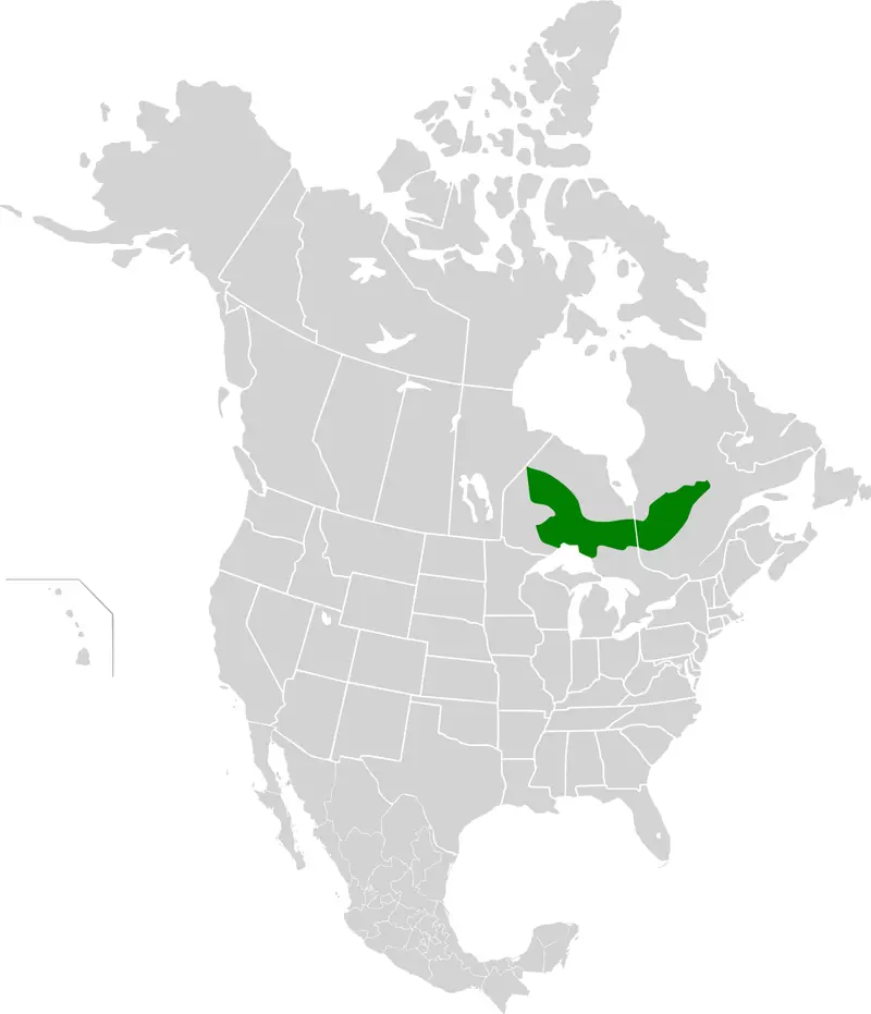 Map: Central Canadian Shield Forests Map