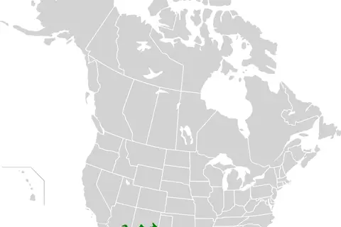 Map: Chihuahuan Desert Map