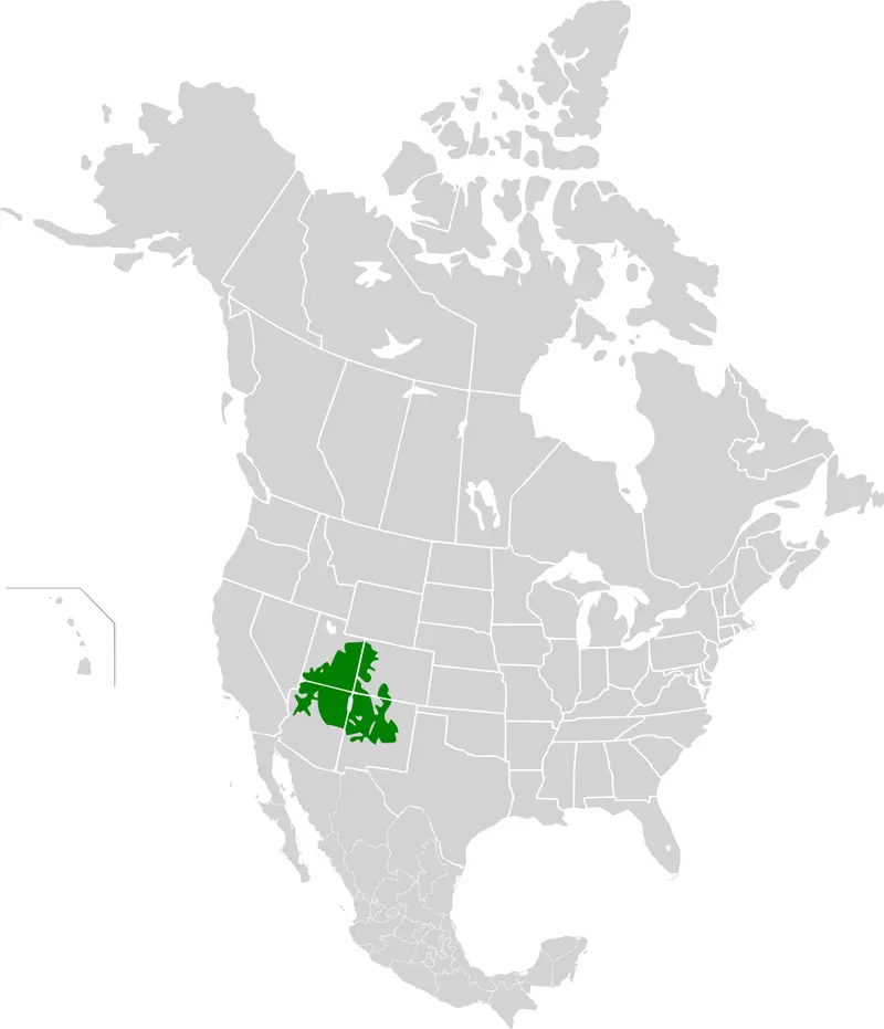 Map: Colorado Plateau Shrublands Map