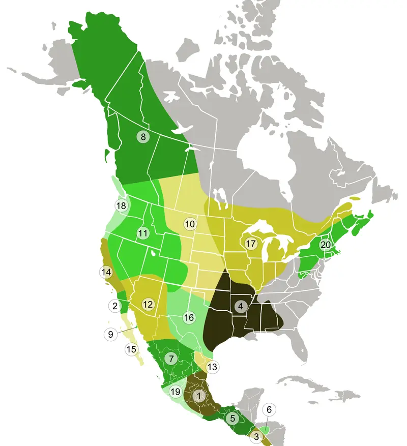 Map: Coyote Subspecies Distribution Map