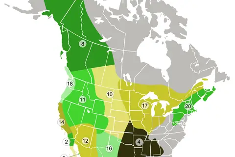 Map: Coyote Subspecies Distribution Map