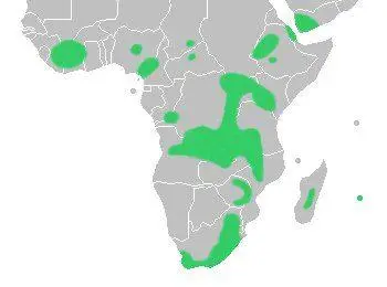 Map: Disa Distribution Map