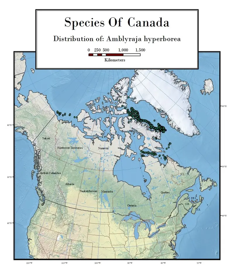 Map: Distribution of Amblyraja hyperborea specimens collected in the Canadian Arctic