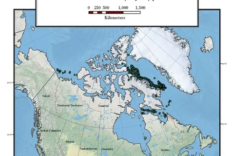 Map: Distribution of Amblyraja hyperborea specimens collected in the Canadian Arctic