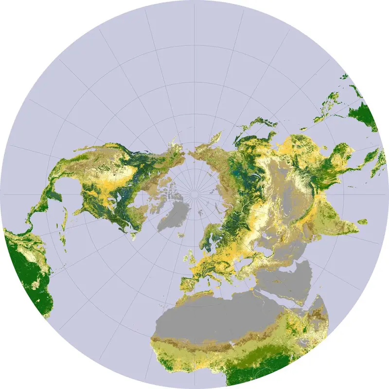 Map: Global Boreal Forest Cover (NASA’s Earth Observatory)