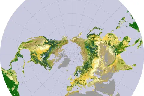 Map: Global Boreal Forest Cover (NASA’s Earth Observatory)