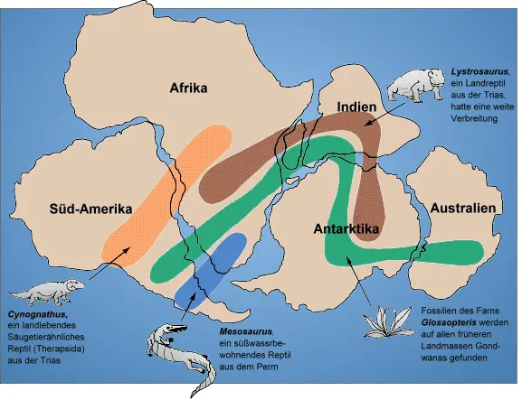 Map: Gondwana Fossil Map Ger