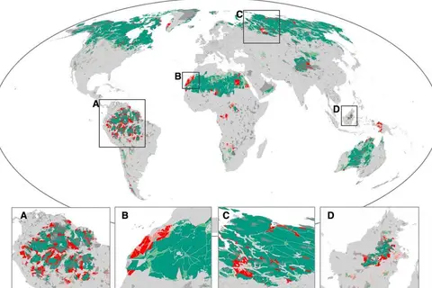 Map: Loss of wilderness areas in the past two decades. Green: current extent of wilderness areas, Red: former extent of wilderness areas, Dark grey: protected areas.