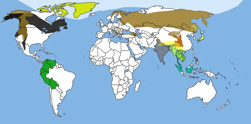 Map: Map of Bear Species Distribution