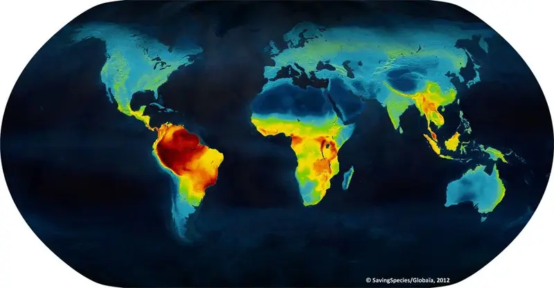 Map: Map of the density of different vertebrate species
