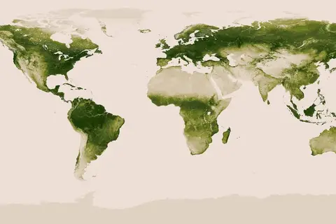 Map: Map of the Earth’s vegetation.
