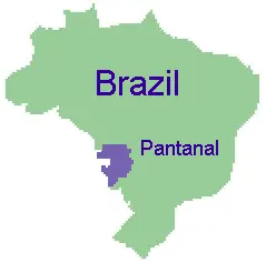 Map: Map Pantanalen