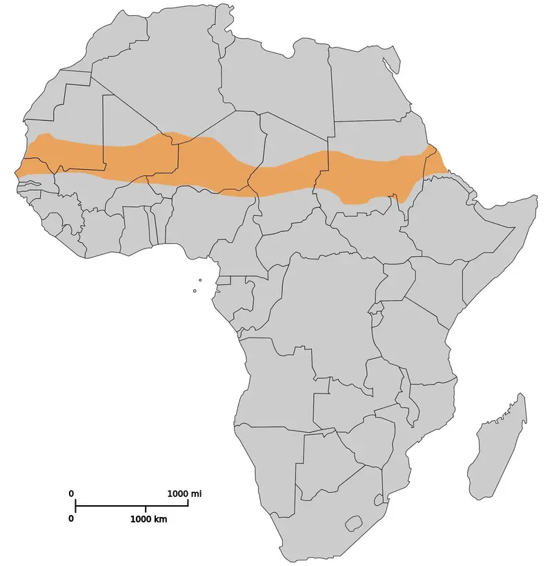 Map: Map Sahel