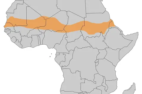 Map: Map Sahel