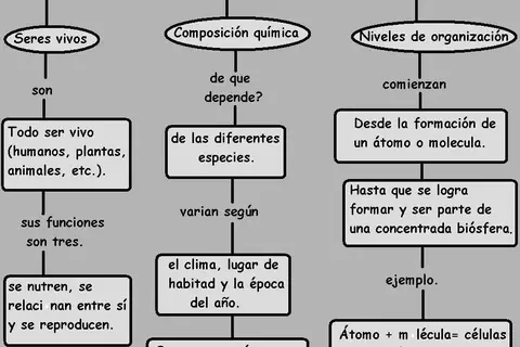 Map: Mapa Conceptual de Los Seres Vivos Sus Niveles de Organizacion Y Composicion Quimica