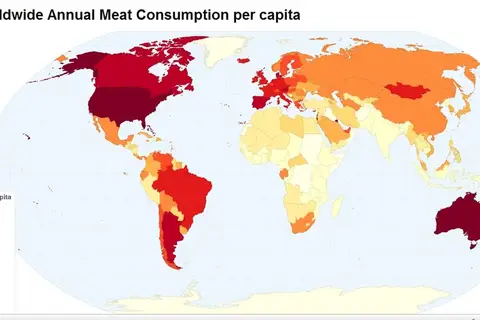 Map: Meat consumption per capita, annual, worldwide