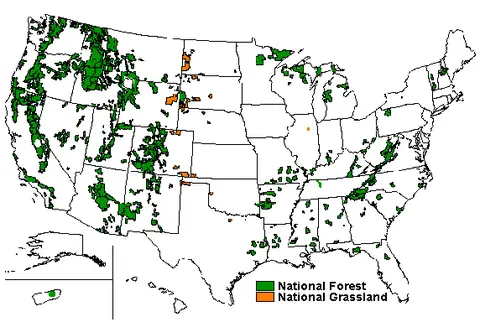Map: National Forests of Us Map
