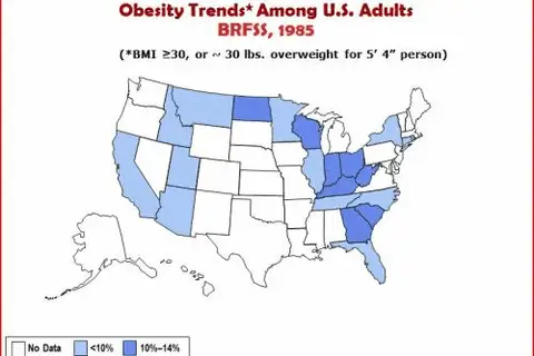 Map: Obesity Trends in the US 1985 until now