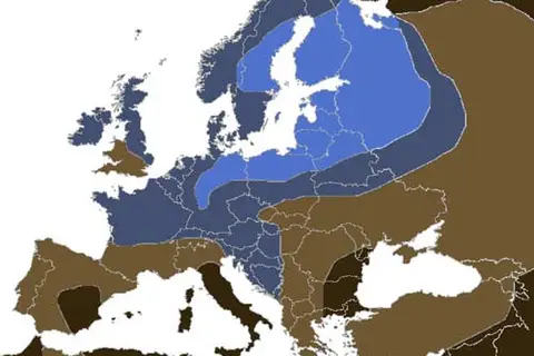 Map: Percent of light eyes in Europe