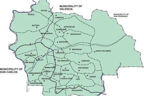 Map: Ph Bukidnon Quezon Political Map