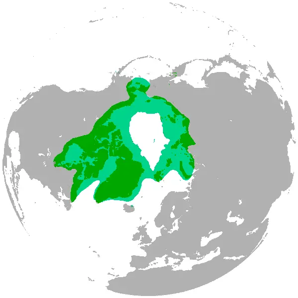 Map: Polar Bear Range Map