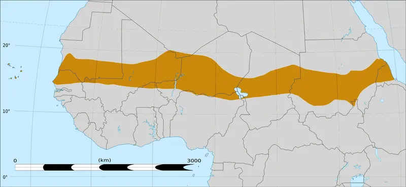 Map: Sahel Mapafrica Rough