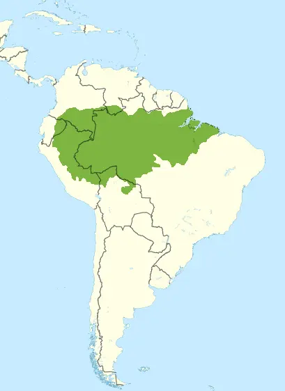 Map: South America Wikivoyage Locator Maps Amazon Rainforest Green