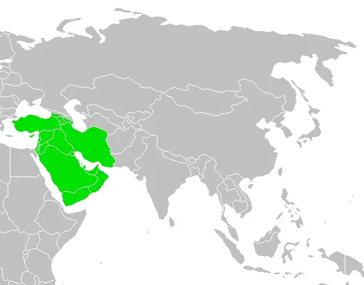 Map: Southwestasia Map