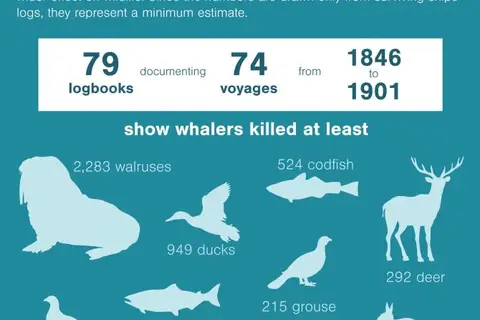 Map: The Collateral Damage of Whaling [hakaimagazine.com]