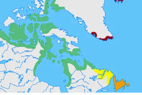 Map: The different cultures in Greenland, Iceland, Labrador, Newfoundland and the Canadian arctic islands in the years 900, 1100, 1300 and 1500