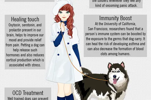 Map: The Healing Power of Dogs