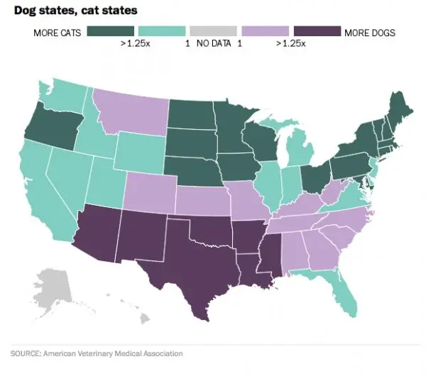 Map: US: Cat states vs Dog States