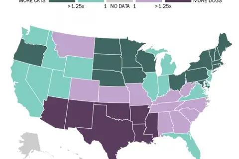 Map: US: Cat states vs Dog States