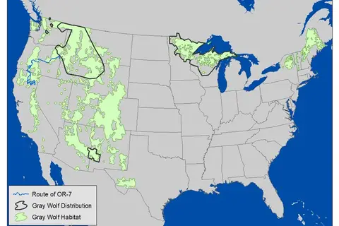 Map: US Grey Wolf Habitat & distribution + path of OR7