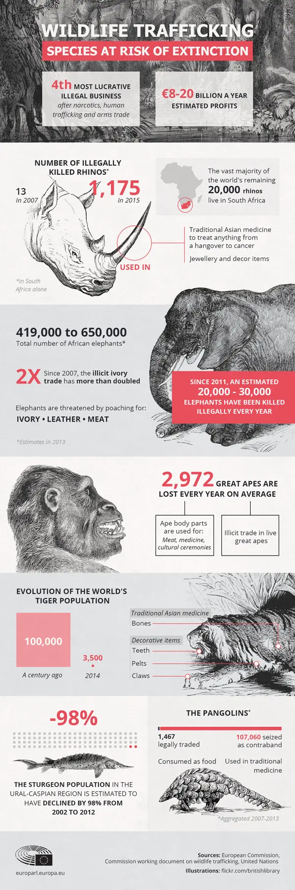 Map: Wildlife Trafficking: Species at Risk of Extinction