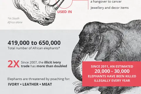 Map: Wildlife Trafficking: Species at Risk of Extinction
