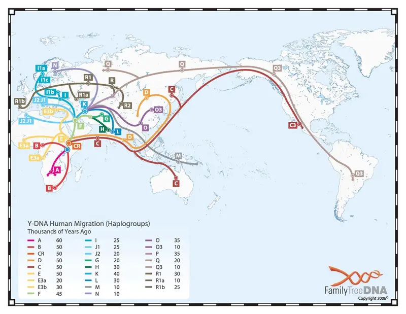 Map: Y-DNA human migration