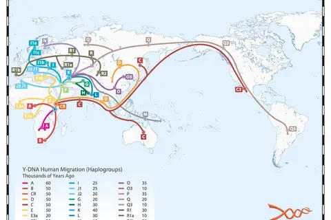 Map: Y-DNA human migration
